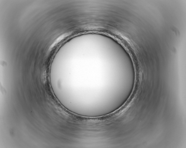 X0000091371306200708101107