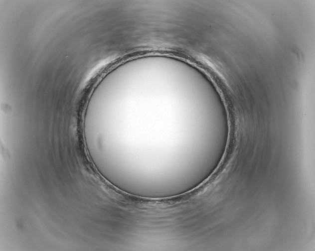 X0000091371307200708101107