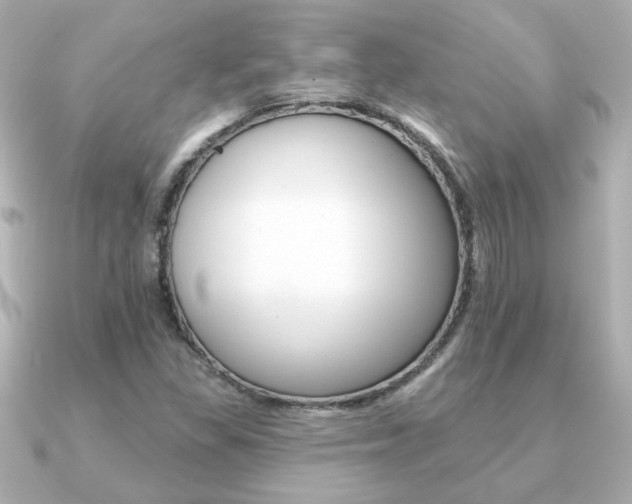 X0000091371309200708101107