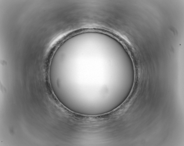 X0000091371311200708101107