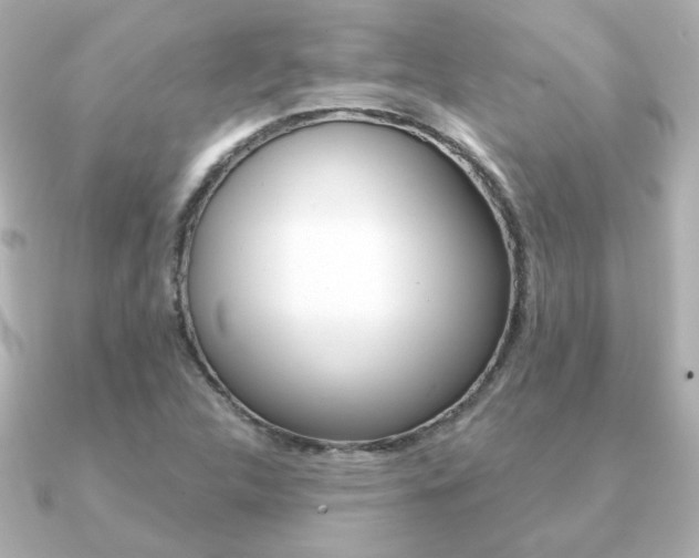 X0000091371312200708101107