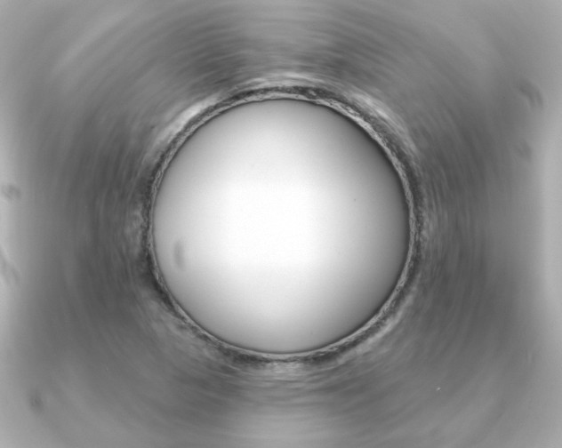 X0000091371313200708101107
