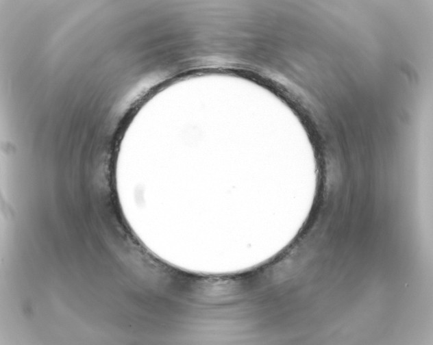 X0000091371314200708101107