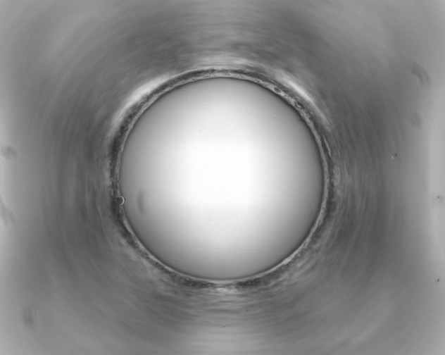 X0000091371315200708101107