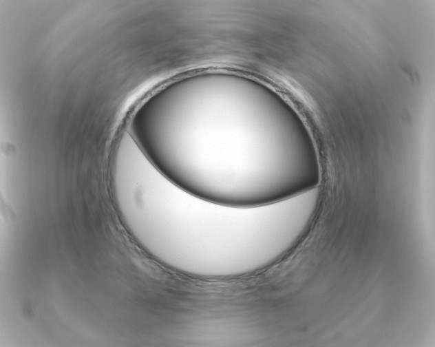 X0000091371316200708101107