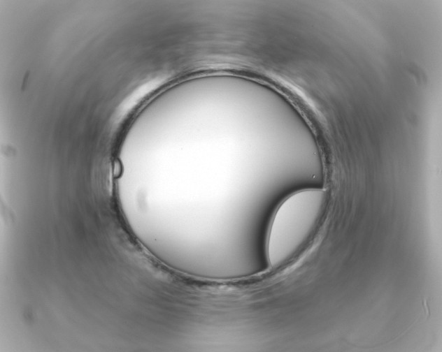 X0000091371317200708101107