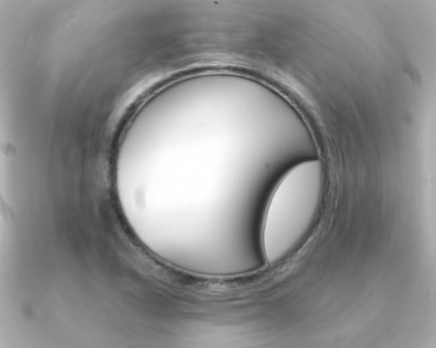 X0000091371318200708101107