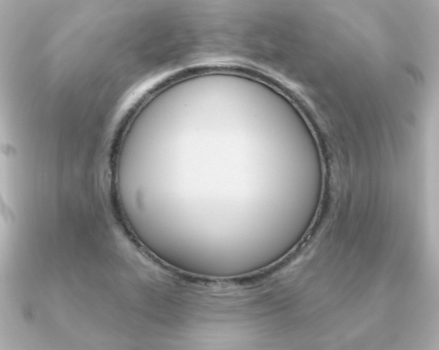 X0000091371319200708101107