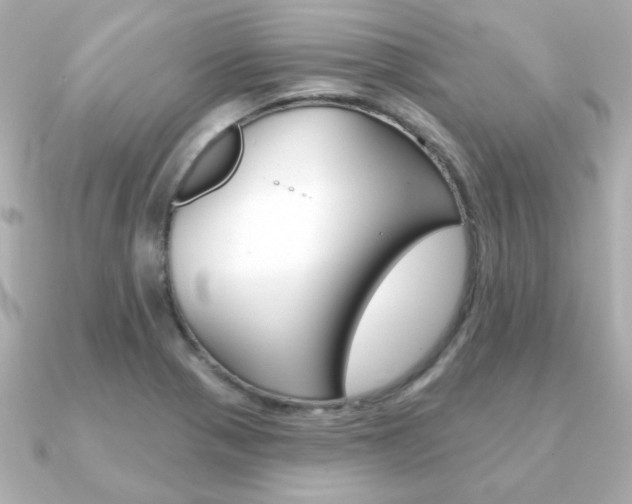X0000091371321200708101107