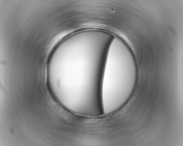 X0000091371323200708101107