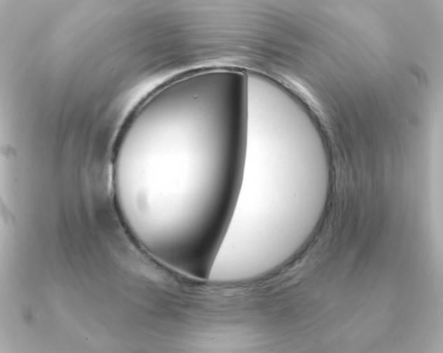 X0000091371324200708101108