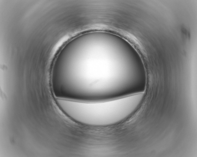 X0000091371326200708101108