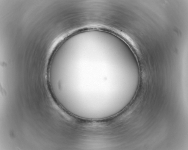 X0000091371327200708101108