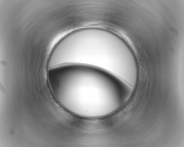 X0000091371328200708101108