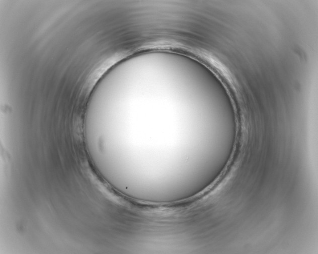 X0000091371329200708101108