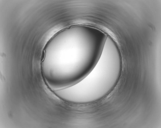 X0000091371330200708101108
