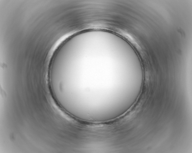 X0000091371331200708101108
