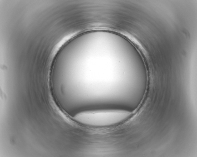 X0000091371333200708101108