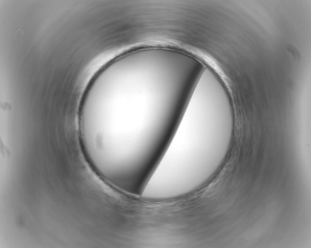 X0000091371335200708101108
