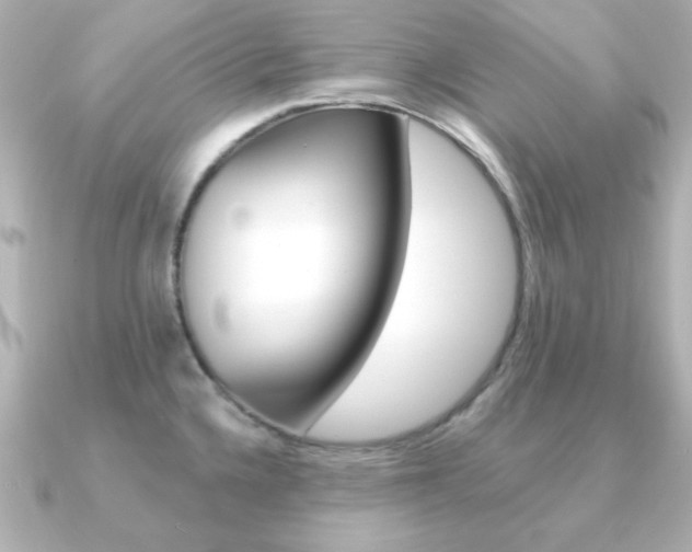 X0000091371336200708101108