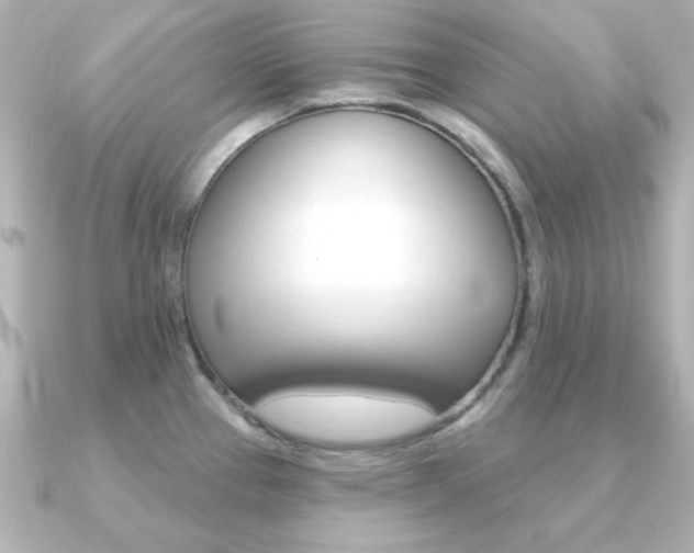 X0000091371337200708101108
