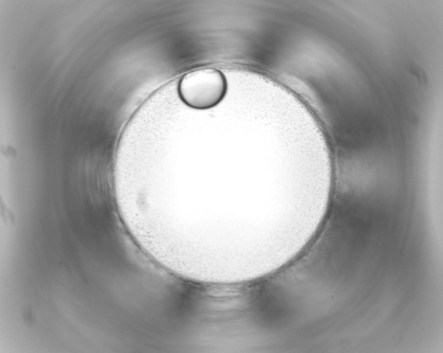 X0000091371338200708101108