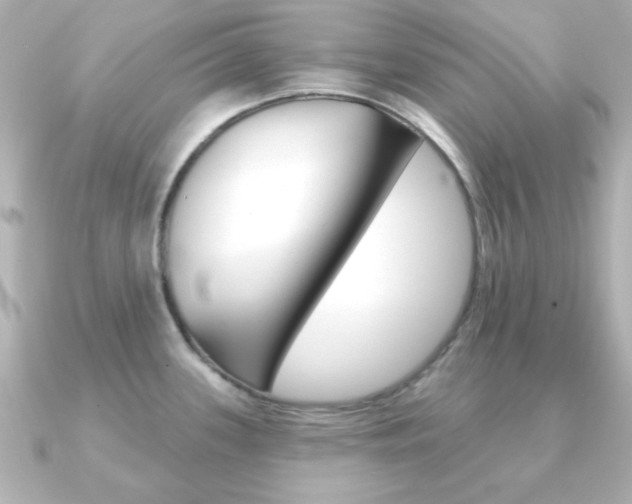 X0000091371339200708101108