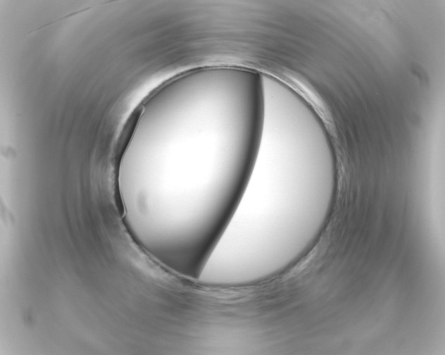 X0000091371340200708101108