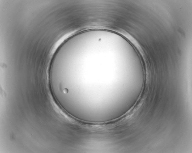 X0000091371341200708101108