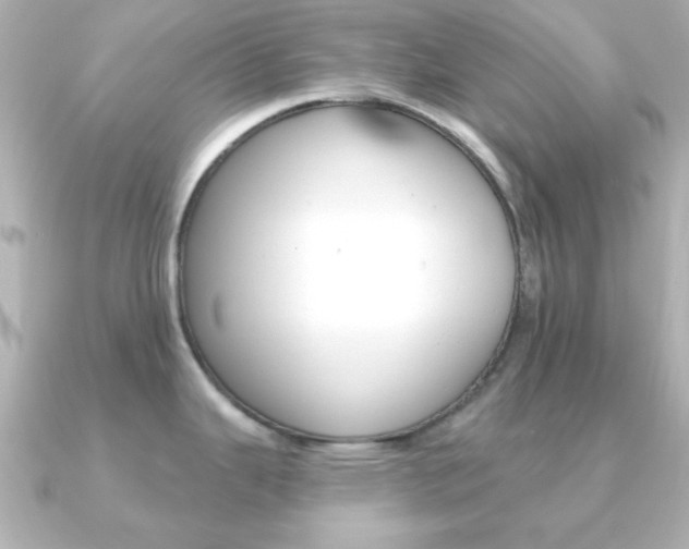 X0000091371343200708101108