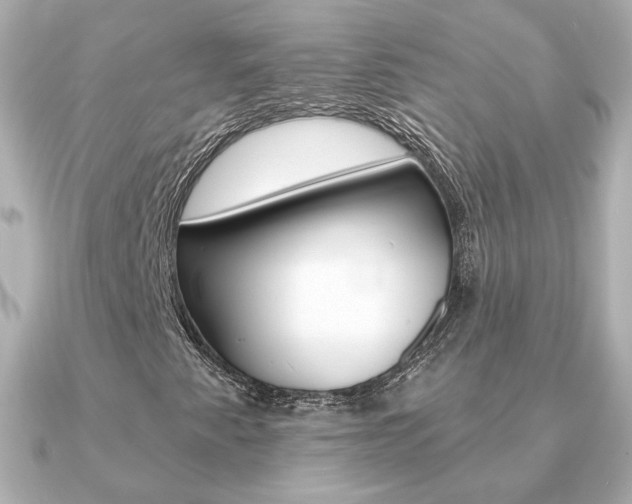X0000091371345200708101107