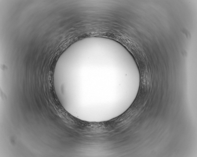 X0000091371346200708101107