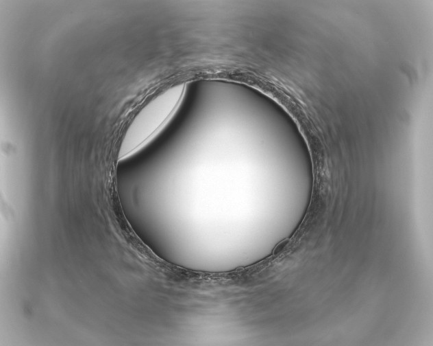 X0000091371349200708101107