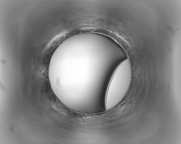 X0000091371351200708101107