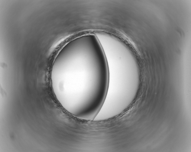 X0000091371352200708101107