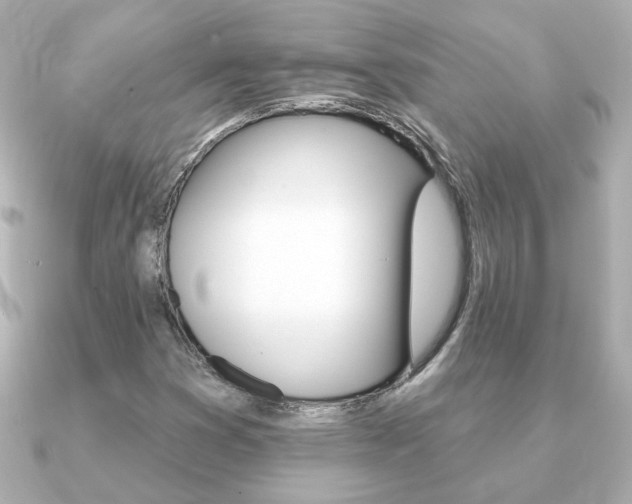 X0000091371353200708101107