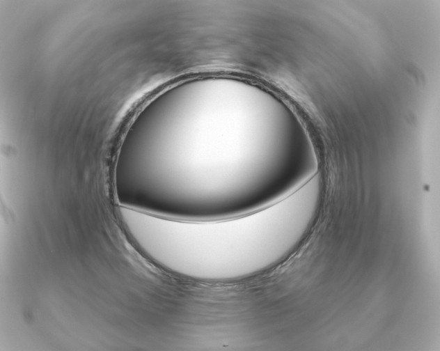 X0000091371356200708101107
