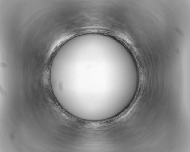 X0000091371357200708101107