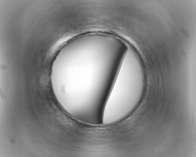 X0000091371359200708101107