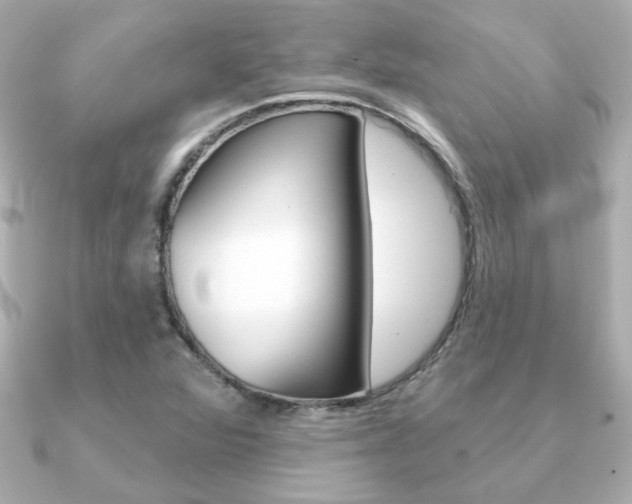 X0000091371360200708101107
