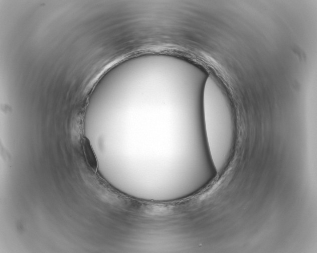 X0000091371361200708101107