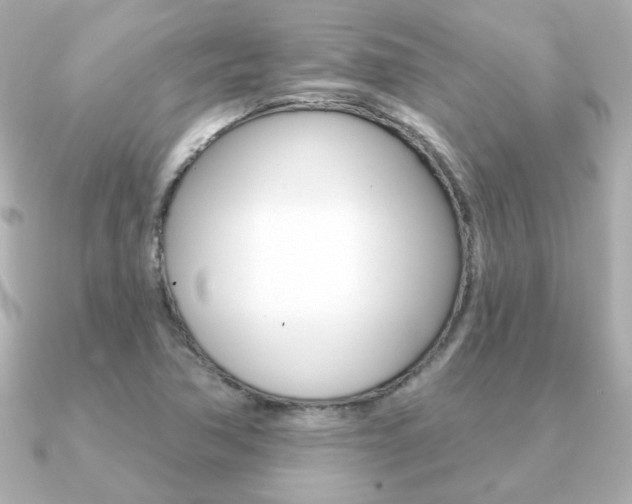 X0000091371362200708101107