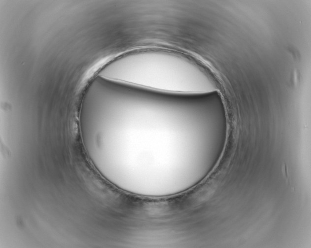 X0000091371363200708101107
