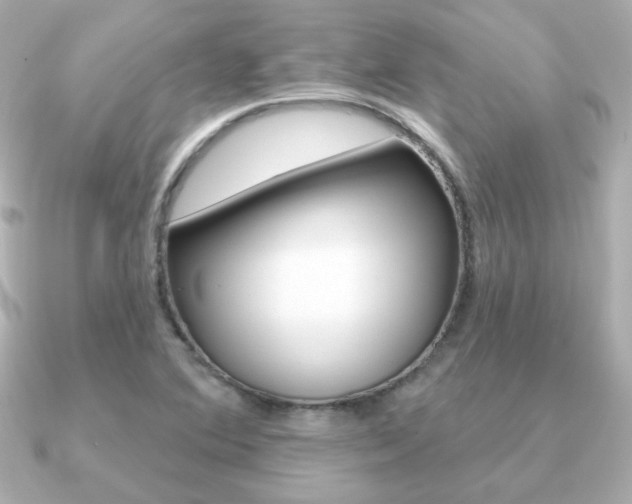 X0000091371364200708101107