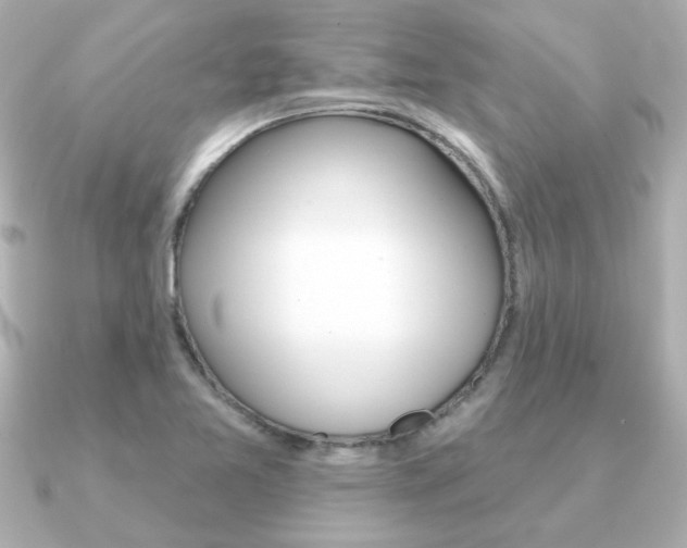 X0000091371365200708101107