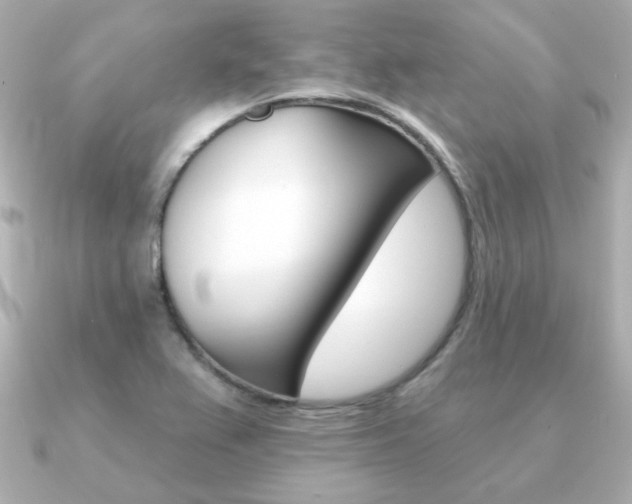 X0000091371367200708101107