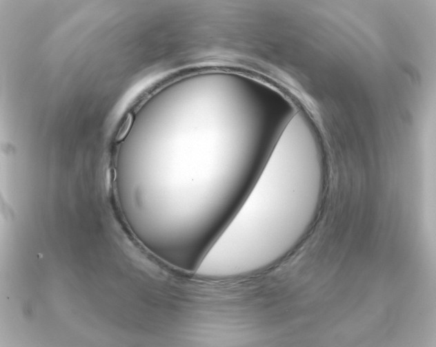 X0000091371368200708101107