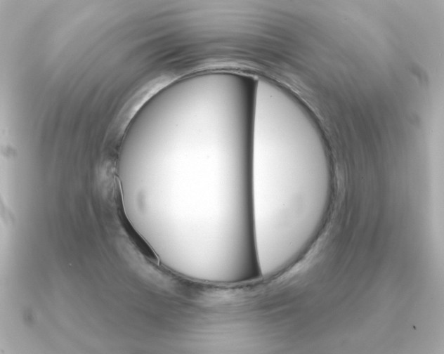 X0000091371369200708101107
