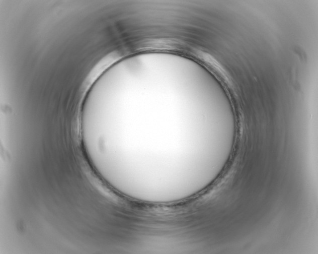 X0000091371370200708101107