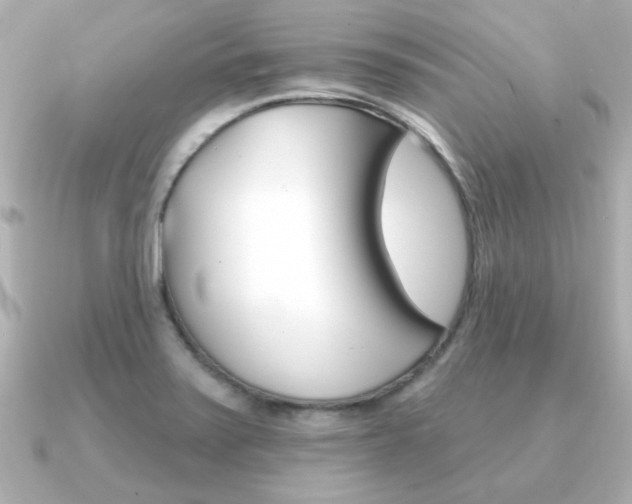 X0000091371371200708101107